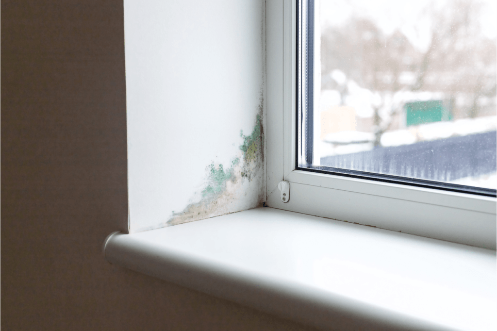 window sill with growing mold caused by water leak